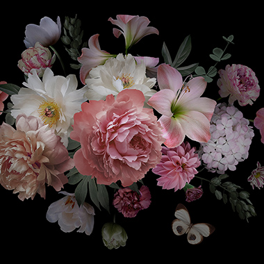 Zur Fototapeten-Kategorie Blumen & Florale Motive